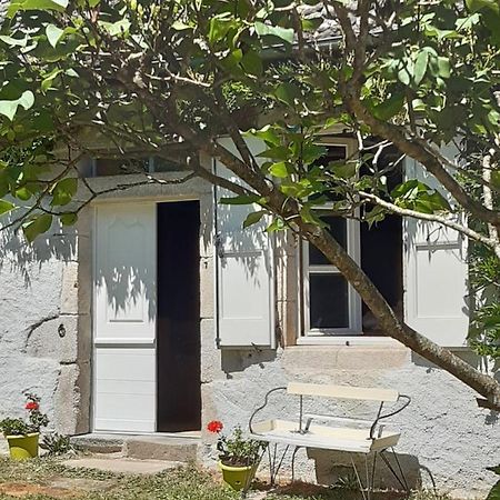 Bed and Breakfast Chez Mialaret Tourniac Экстерьер фото