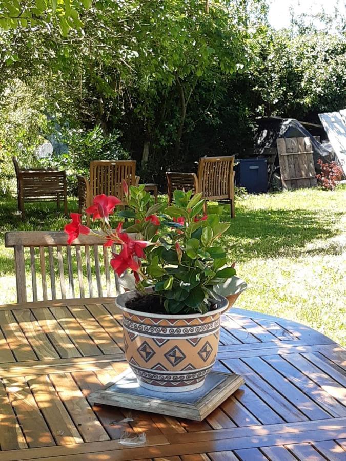 Bed and Breakfast Chez Mialaret Tourniac Экстерьер фото
